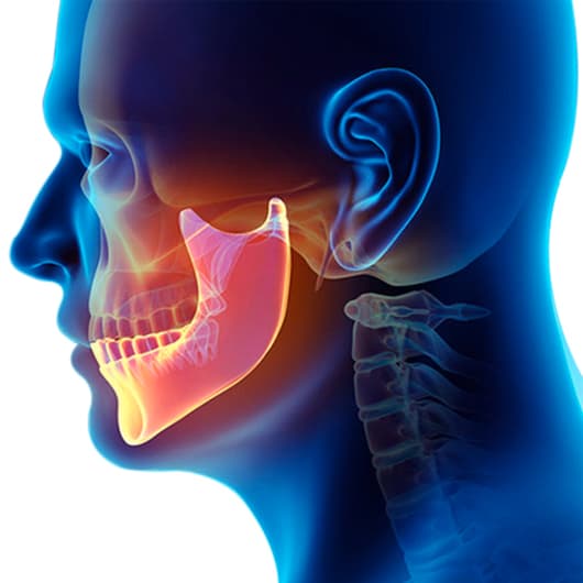Articolazione temporo-mandibolare (ATM)
