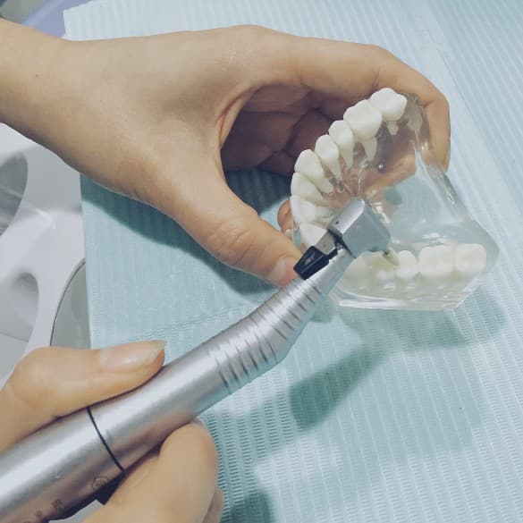 Strumenti per igiene dentale professionale